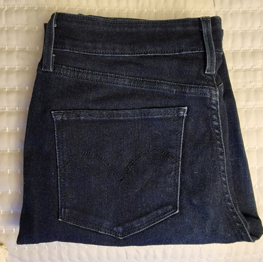 Levi's Bold Curve 8x29